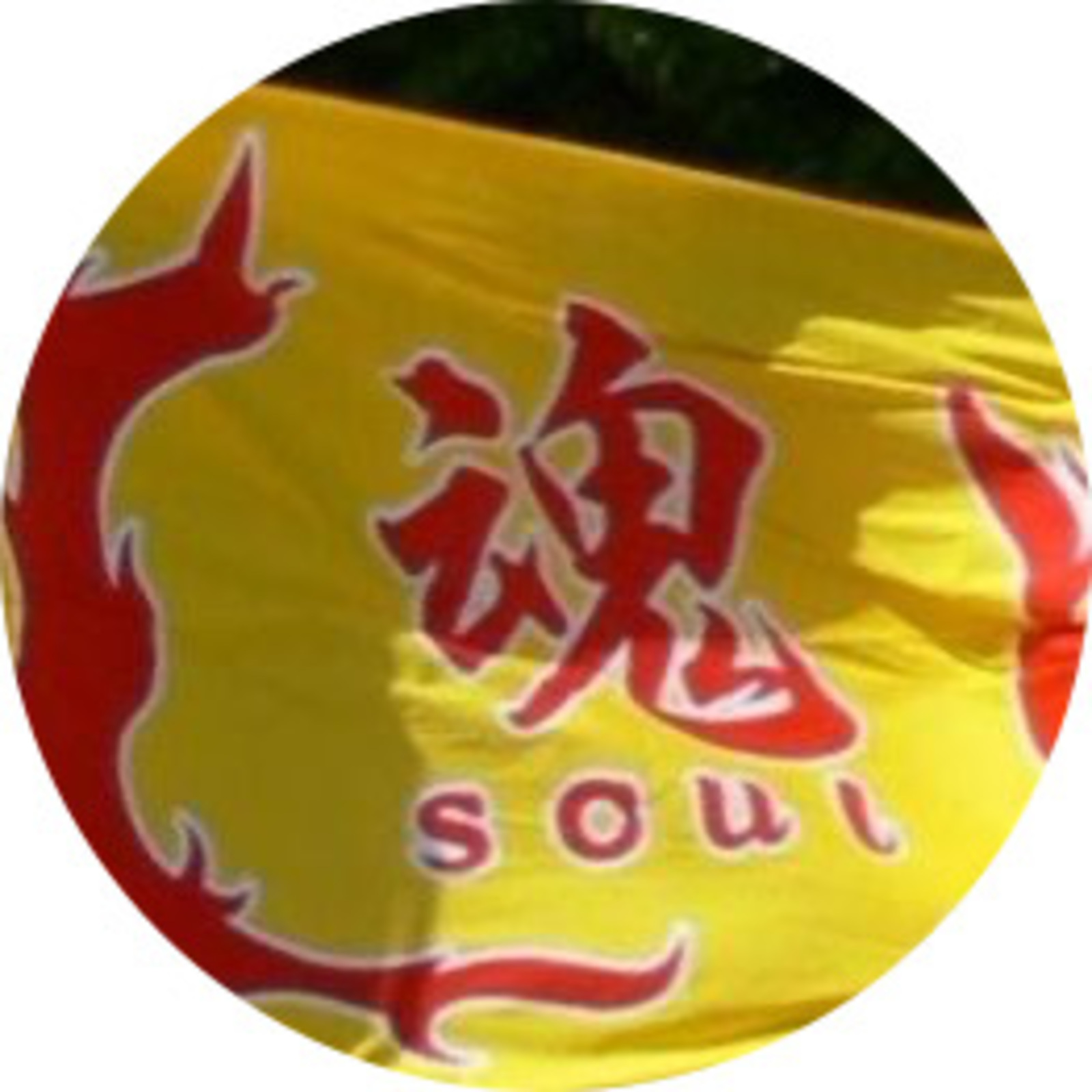 YOSAKOIチーム魂soul