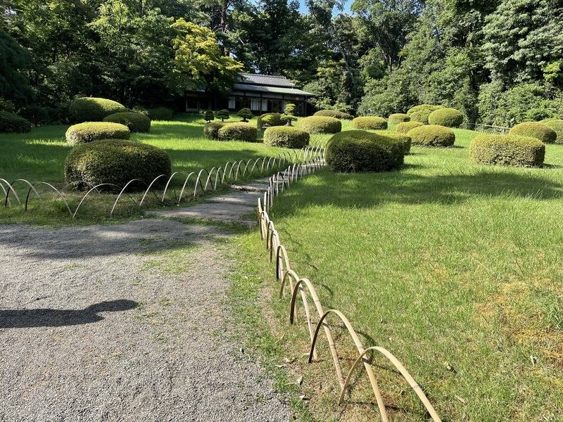 今を最大限楽しも〜😆🌟