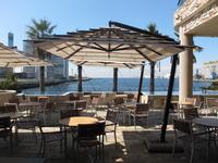 ポッチランチ会！