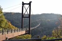 【6/10土】交野市パワースポットウォーキング