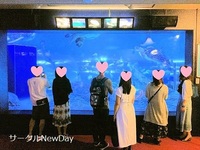 ★10/9 大阪・海遊館で楽しく恋活・友達作り★ 