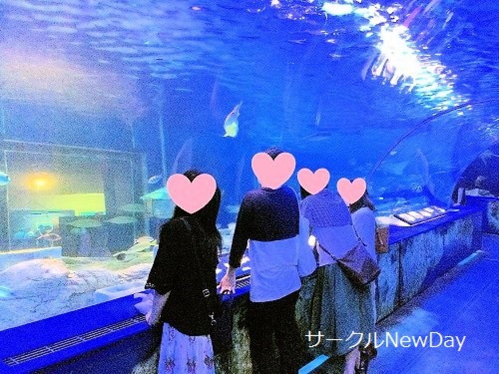 ★10/29 名古屋港水族館の散策コン ★
