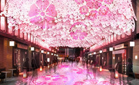 桜フェスティバルでゲームやライトアップを楽しもう♪