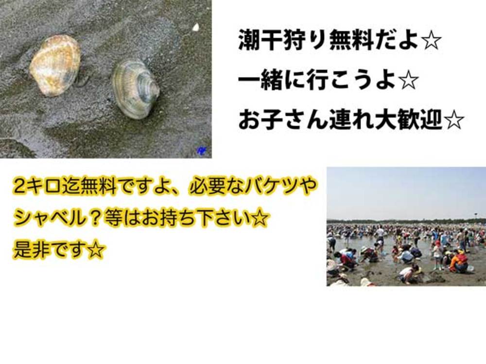 5.4（祝）横浜の海の公園にて皆で潮干狩りにいきませんか？ ☆ピクニック企画だから無料こちらでは１円も受け取りません☆ご自身でお昼ご飯と飲み物などお持ちください彡　