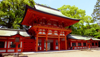 大宮氷川神社参拝！