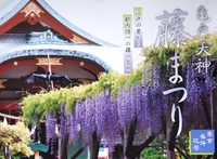亀戸天神藤まつりと、ちょっとお得にピクニック