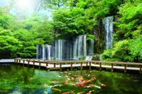 目黒雅叙園パワースポット巡り！