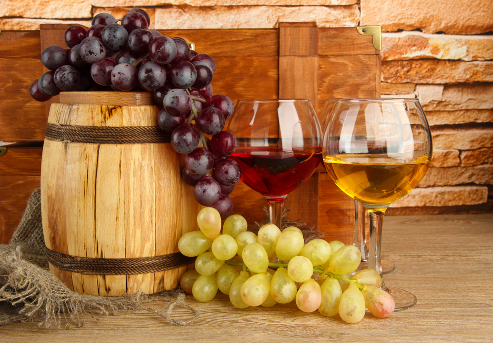 【ワインホームパーティvol.22】ビオワイン飲み比べワイン会～ブドウ本来のピュアな味わい～