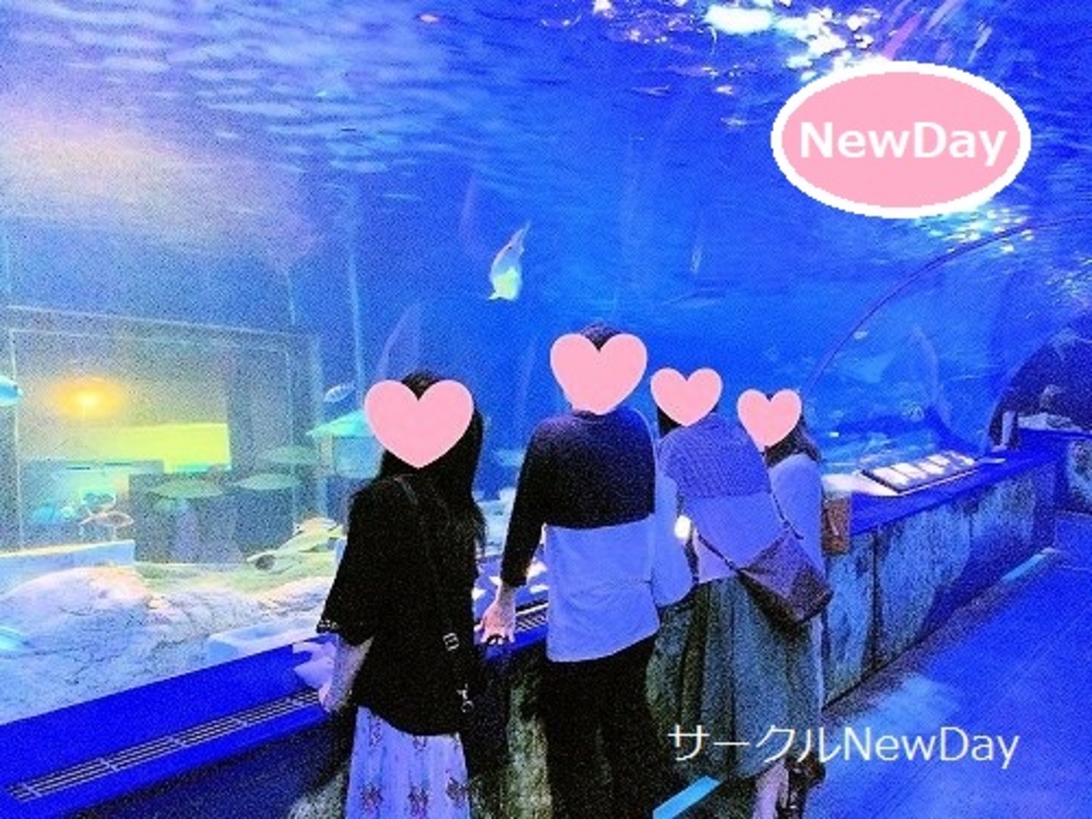 ★6/24 名古屋港水族館で楽しく恋活・友達作り ★
