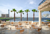 千葉みなとでブッフェ会！