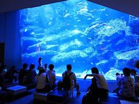 すみだ水族館撮影会