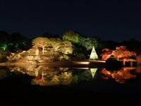 💡六義園 ライトアップ💡
