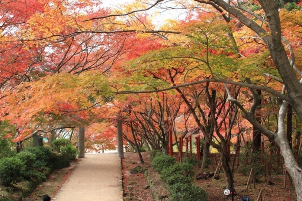 第5回は大宰府近くの宝満宮竈門神社へ紅葉を撮りに出かけませんか？