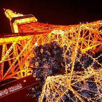 20・30代 ナイトタワー＆クリスマス♪ ～1人参加～【芝公園】
