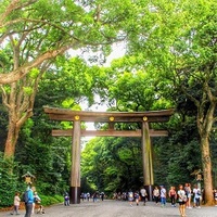 20～45才 年末詣♪ ～1人参加～【原宿】