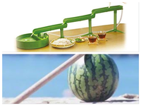 流しそうめん（たらこと青海苔そうめんなど）とスイカ割り+α（徳島産すだちを使ったうどん？）（他8人程