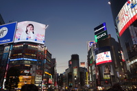 おとめ山公園　ホタル観賞 