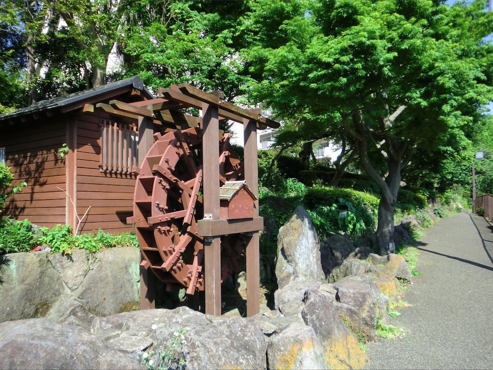 ✨🌿誰でも参加歓迎！林試の森公園で森林浴会🌿✨