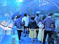 ★3/2 名古屋港水族館で楽しく友達作り ★