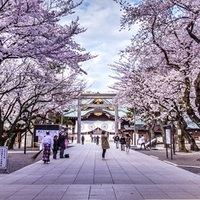 25～45才 パワースポット＆桜♪ ～1人参加～【飯田橋】
