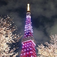 20～45才 ナイトタワー＆夜桜♪ ～1人参加～【芝公園】