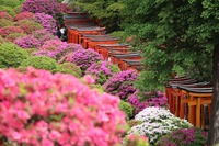 根津神社参拝&花見ランチ会！