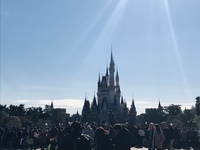 土日のどこかで、ディズニーイースター！！