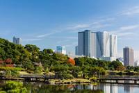 浜離宮恩賜庭園 