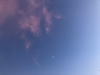 カラオケ