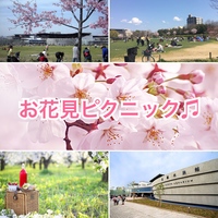 お花見ピクニック＊。