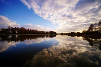 🌿⛵誰でも参加歓迎！水元公園で森林浴会⛵🌿