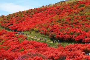 🌈カメラ持ってお出かけ✨
5月のカメラ活動イベント