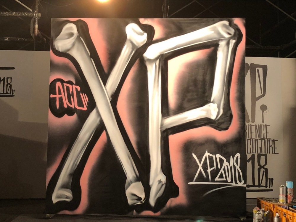 XP2019