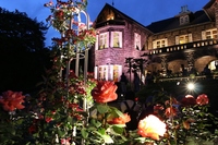 🌿🌹旧古河庭園でミステリーウォーク＆ライトアップ🌹🌿