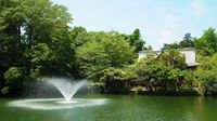 ✨🌿誰でも参加歓迎！井の頭公園森林浴会🌿✨