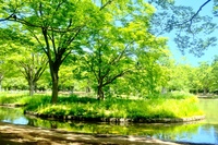 Photo walk!! 代々木公園〜渋谷【予定通り決行】