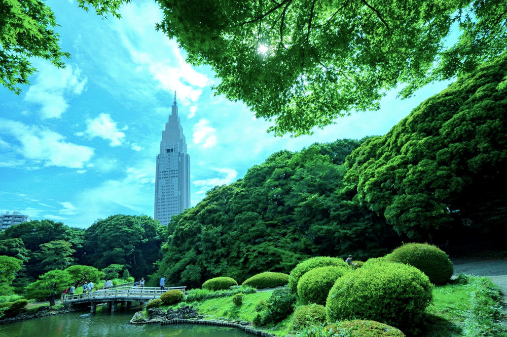 ☔🌿小雨でも開催！新宿御苑で森林浴会🌿☔