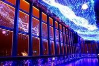 東京タワーで天の川イルミネーション！
芝公園→東京タワー
※展望料900円が必要です