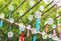 第5回撮影会（川越氷川神社）