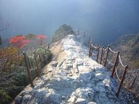 【9月29日】秘境へ行こう！大台ケ原日帰りツアー(定員10名)