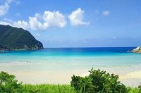 8/31（土）〜9/1（日）伊豆弓ヶ浜 海辺のコテージ1棟まるごと貸切！！