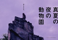 夜の動物園を楽しもう！