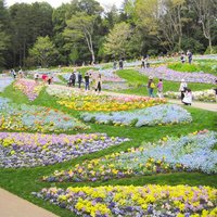 190915里山ガーデンフェスタ撮影会