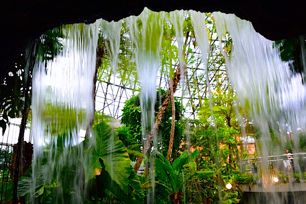 夢の島熱帯植物館🍌🌺と浜離宮恩賜庭園🌿🍵で夏のイベント巡り🎐✨