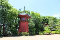 ✨🌿誰でも参加歓迎！哲学堂公園で森林浴会【新井薬師前駅集合】🌿✨