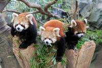 9月フォト企画イベント🎈