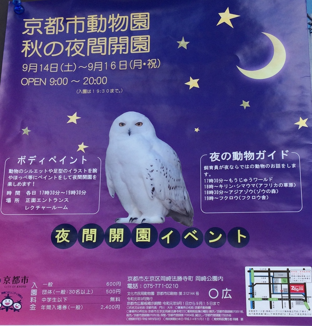 京都市動物園を夜間に楽しむ(^^)