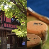 🕍第5回名GO!屋わくわく探検隊 芸術の秋企画🕍松坂屋初代社長構築の別荘「揚輝荘」見学と聴松閣にて午後のティータイム