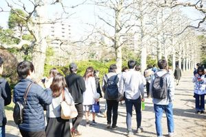 1月　鶴岡八幡宮　初詣