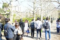 1月　鶴岡八幡宮　初詣